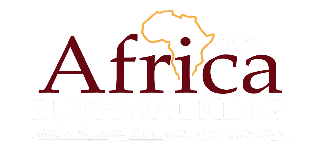 Africa bush walking